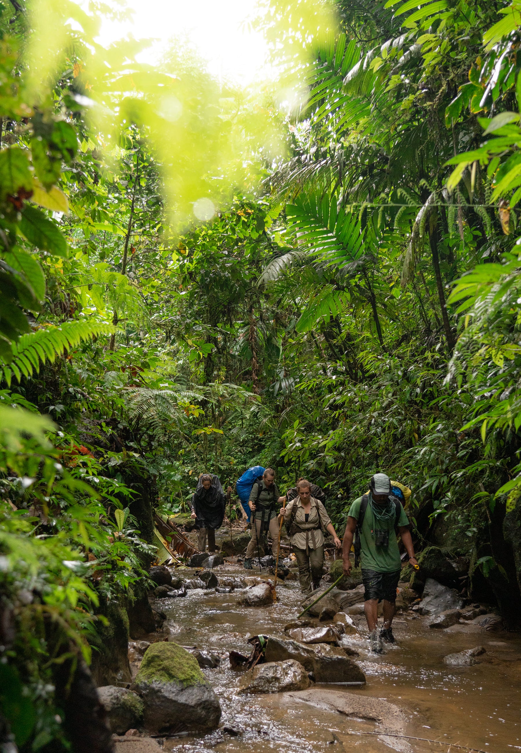 Dschungel Expedition Indonesien