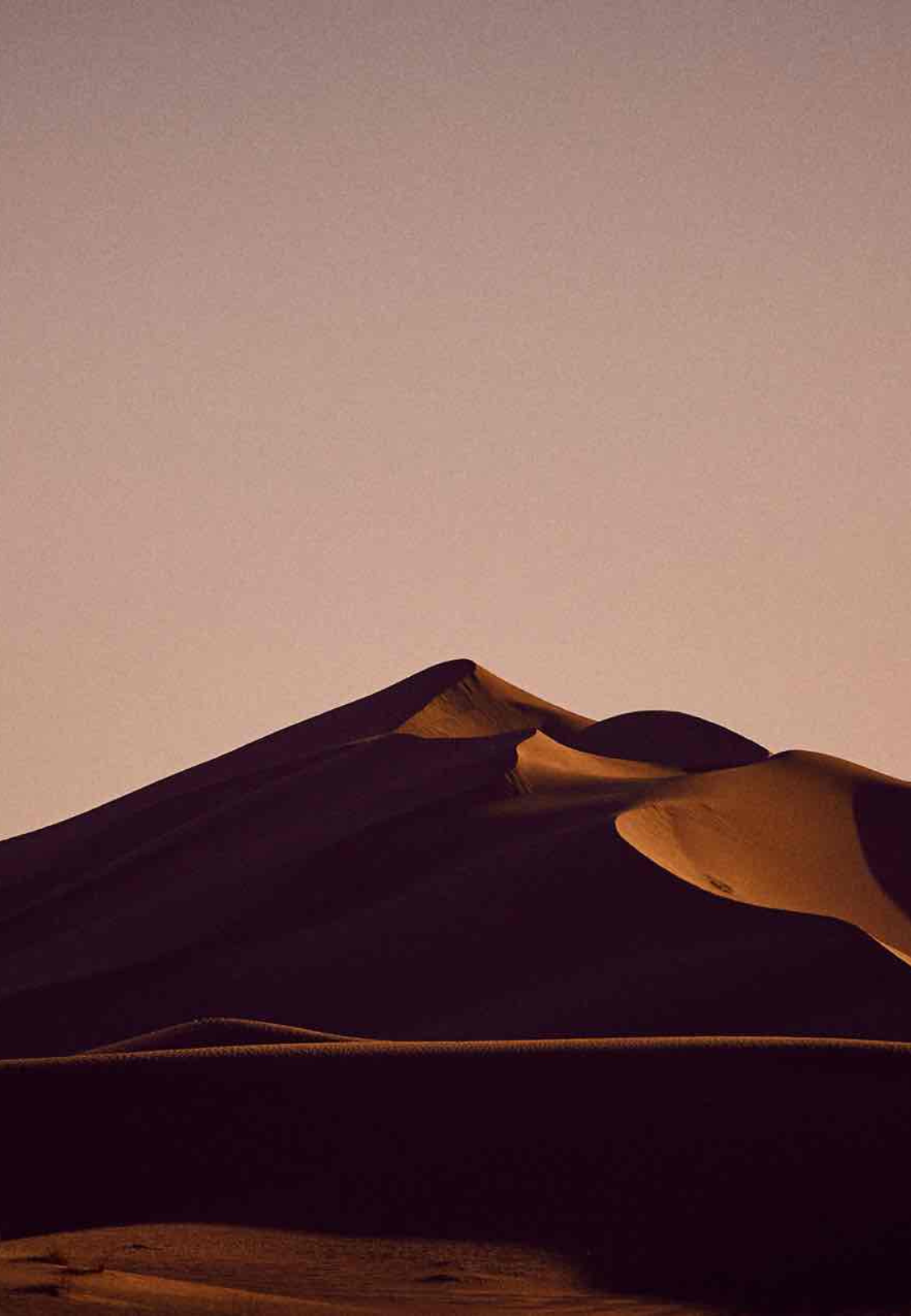 Sahara Tour