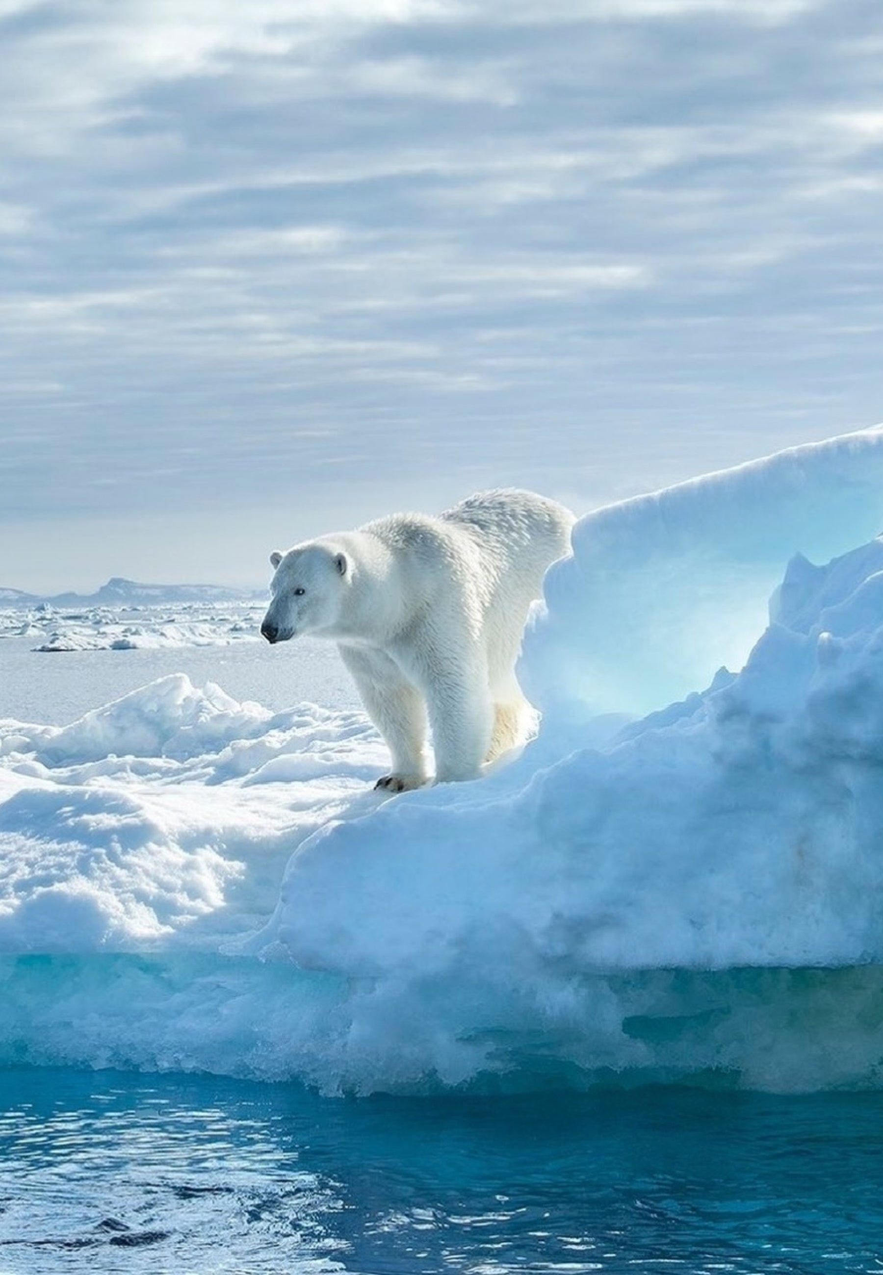 Spitzbergen Durchquerung