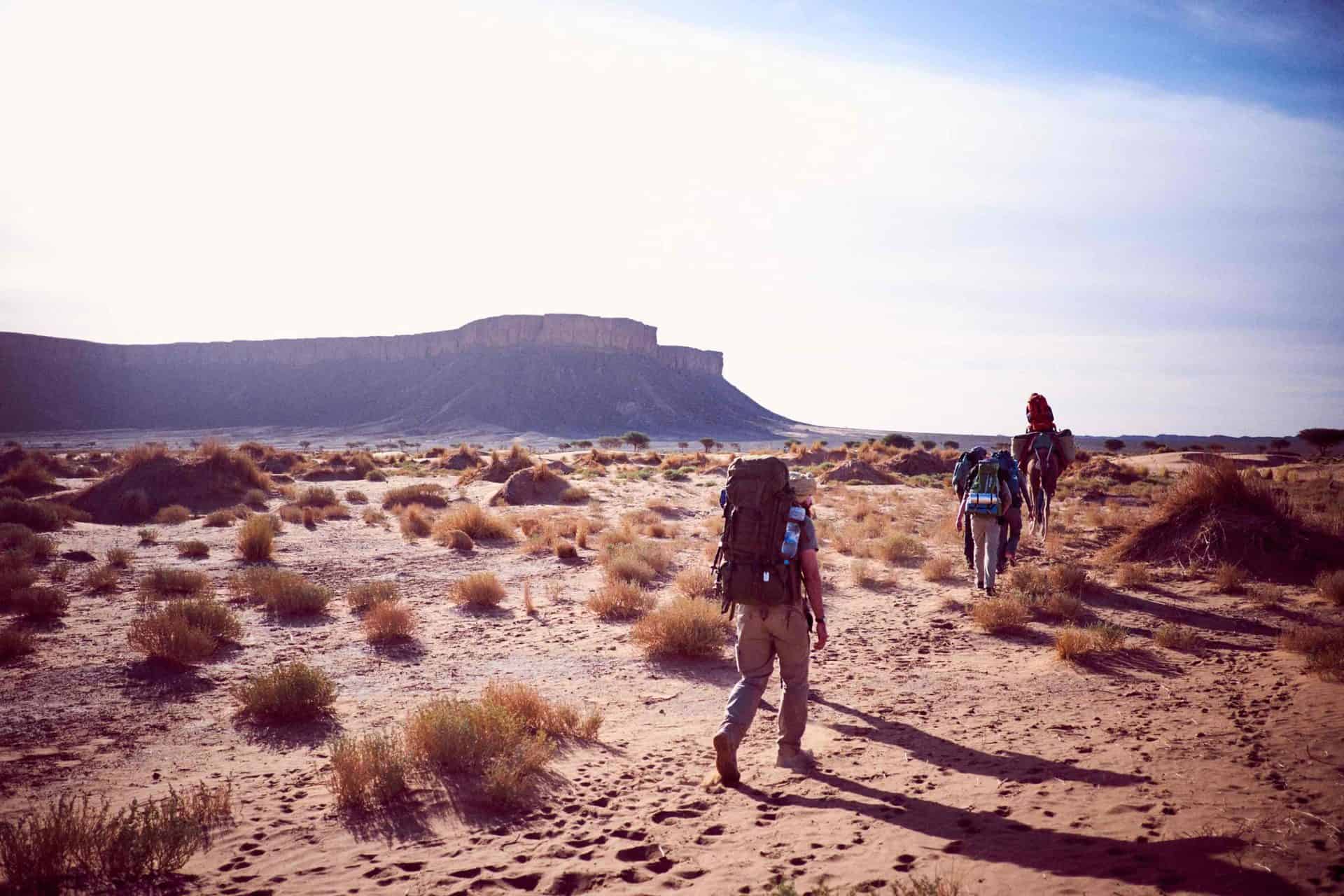 Wechselnde Landschaften der Sahara
